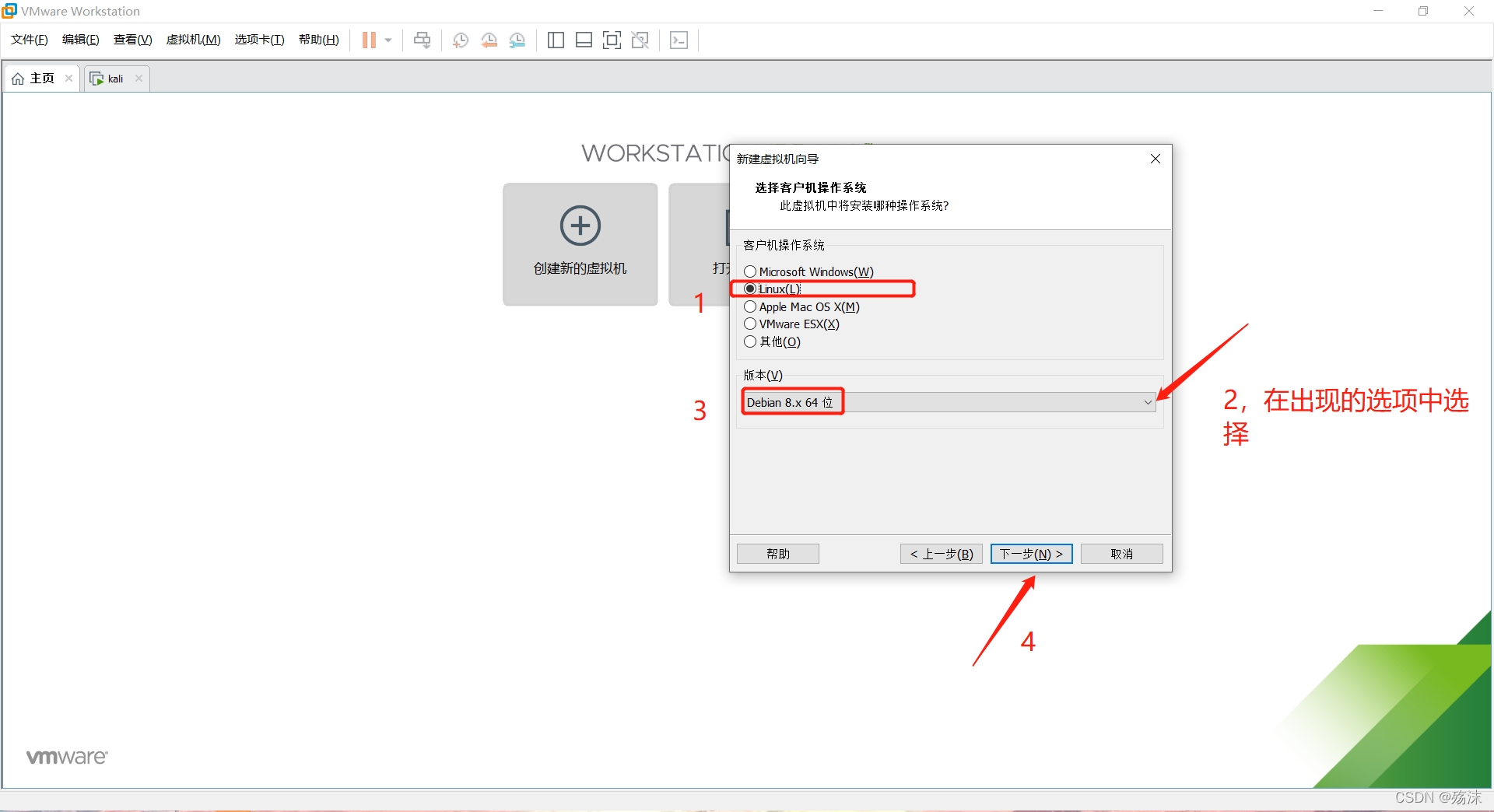 虚拟机如何安装kali