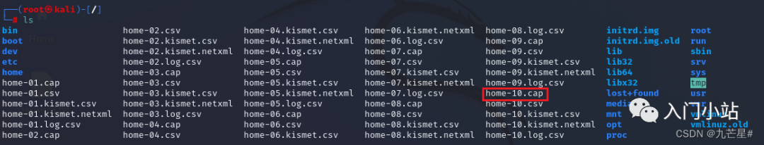 wifi密码字典包下载