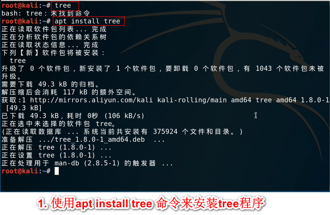 kali怎么安装软件