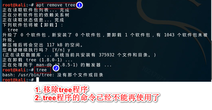 kali怎么安装软件