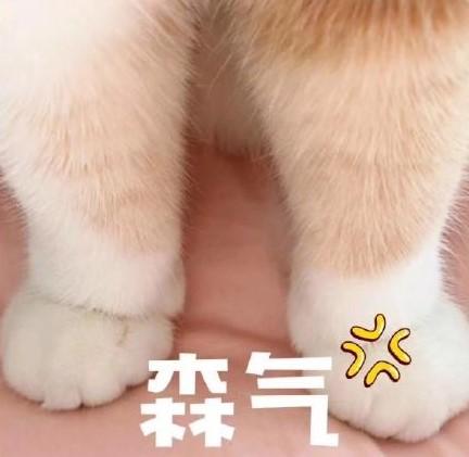 cdlinux加载笔记本网卡