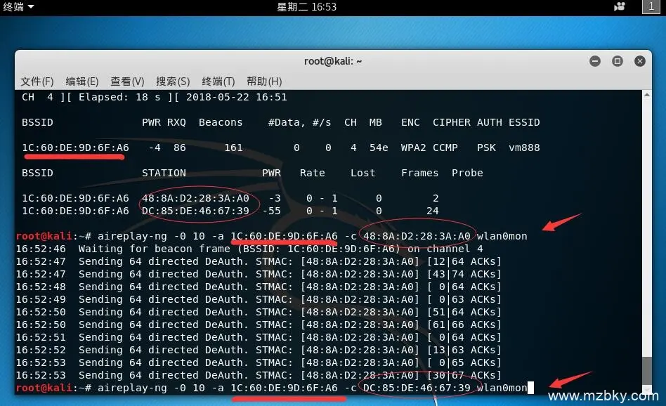 wifi密码暴力破解工具 字典