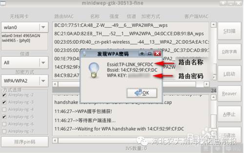 wifi密码字典txt下载