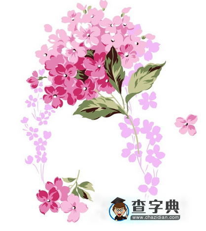 kali CeWL密码攻击工具 Linux字典生成工具 自定义单词列表生成器-量子哈希